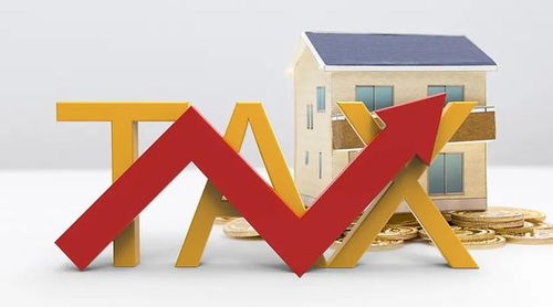 國家稅務總局推出10項稅收服務措施，助力長三角一體化高質量發展